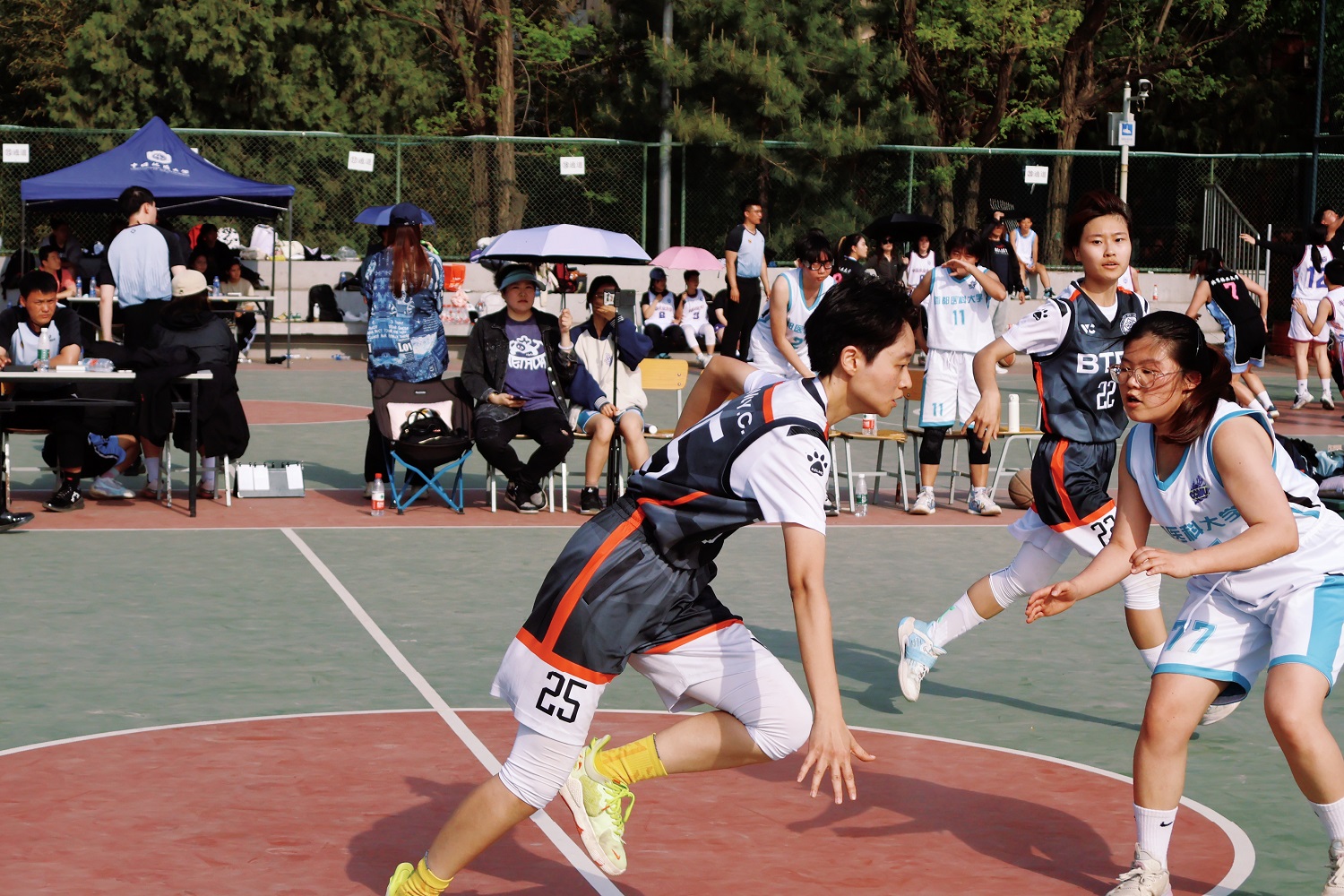 F6福鹿会_官方网站app下载