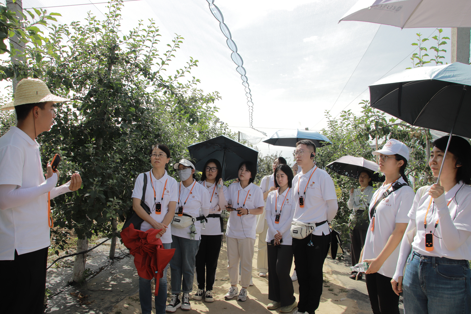 F6福鹿会_官方网站app下载