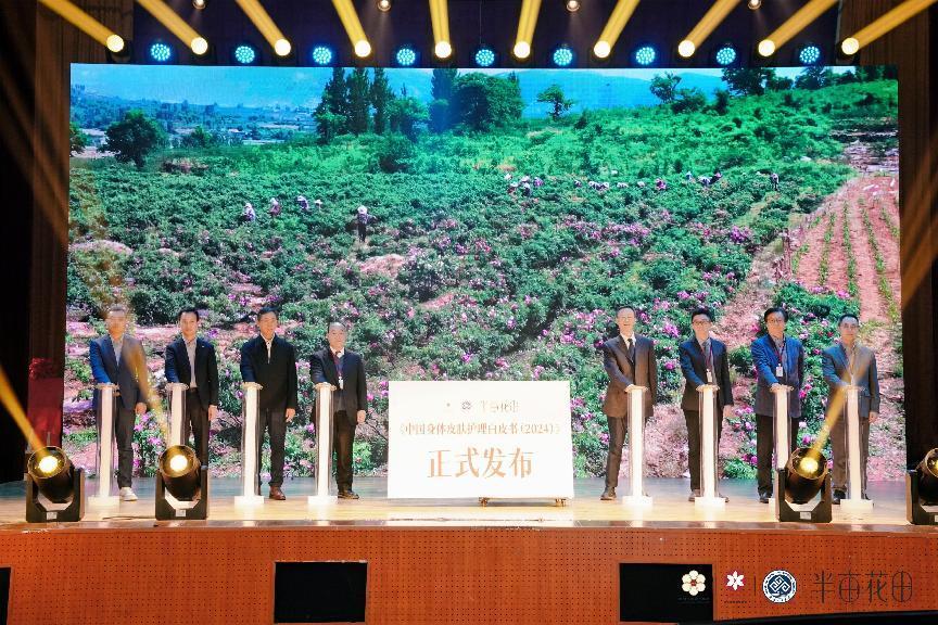 F6福鹿会_官方网站app下载