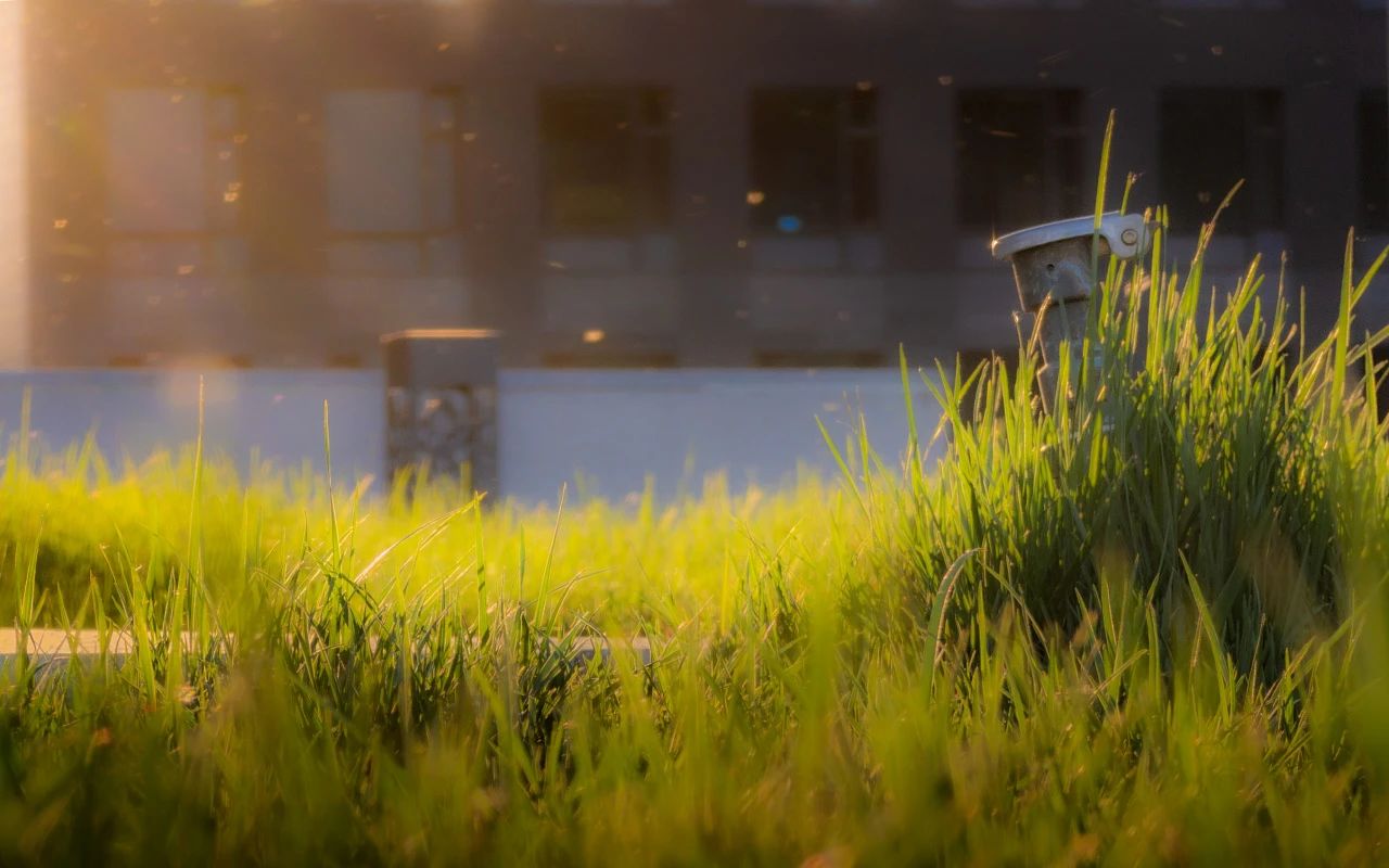 F6福鹿会_官方网站app下载