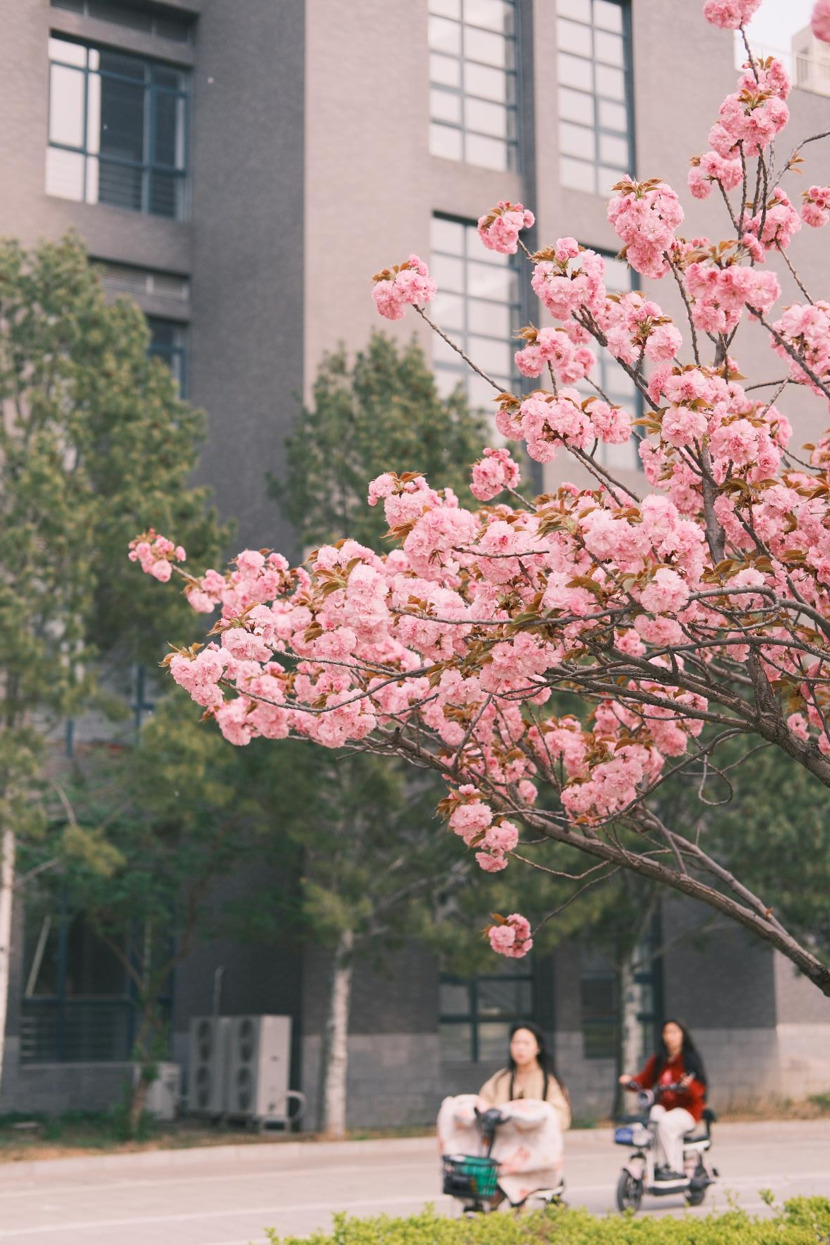 F6福鹿会_官方网站app下载