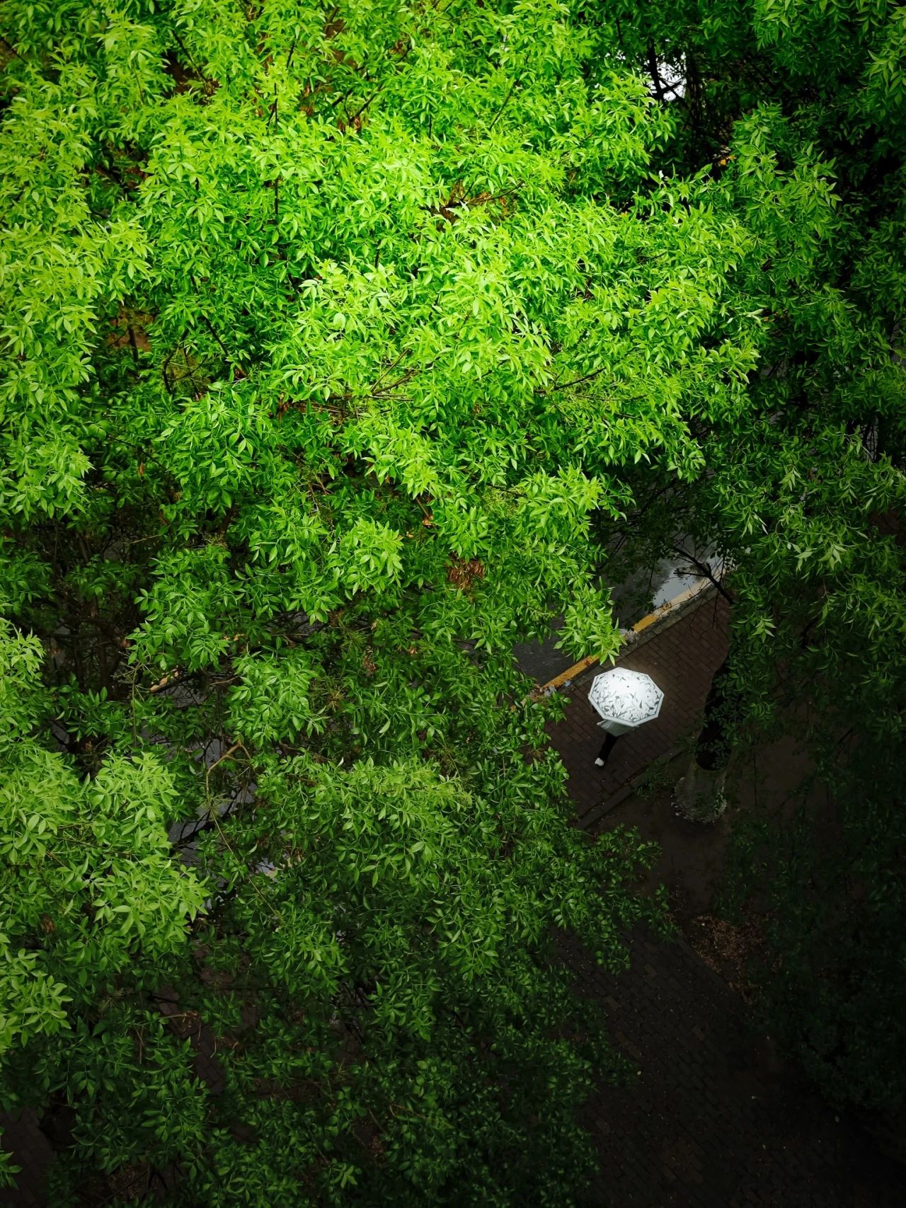 F6福鹿会_官方网站app下载