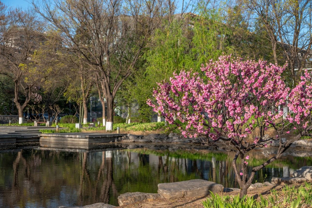 F6福鹿会_官方网站app下载