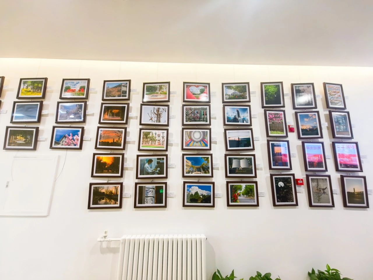 F6福鹿会_官方网站app下载