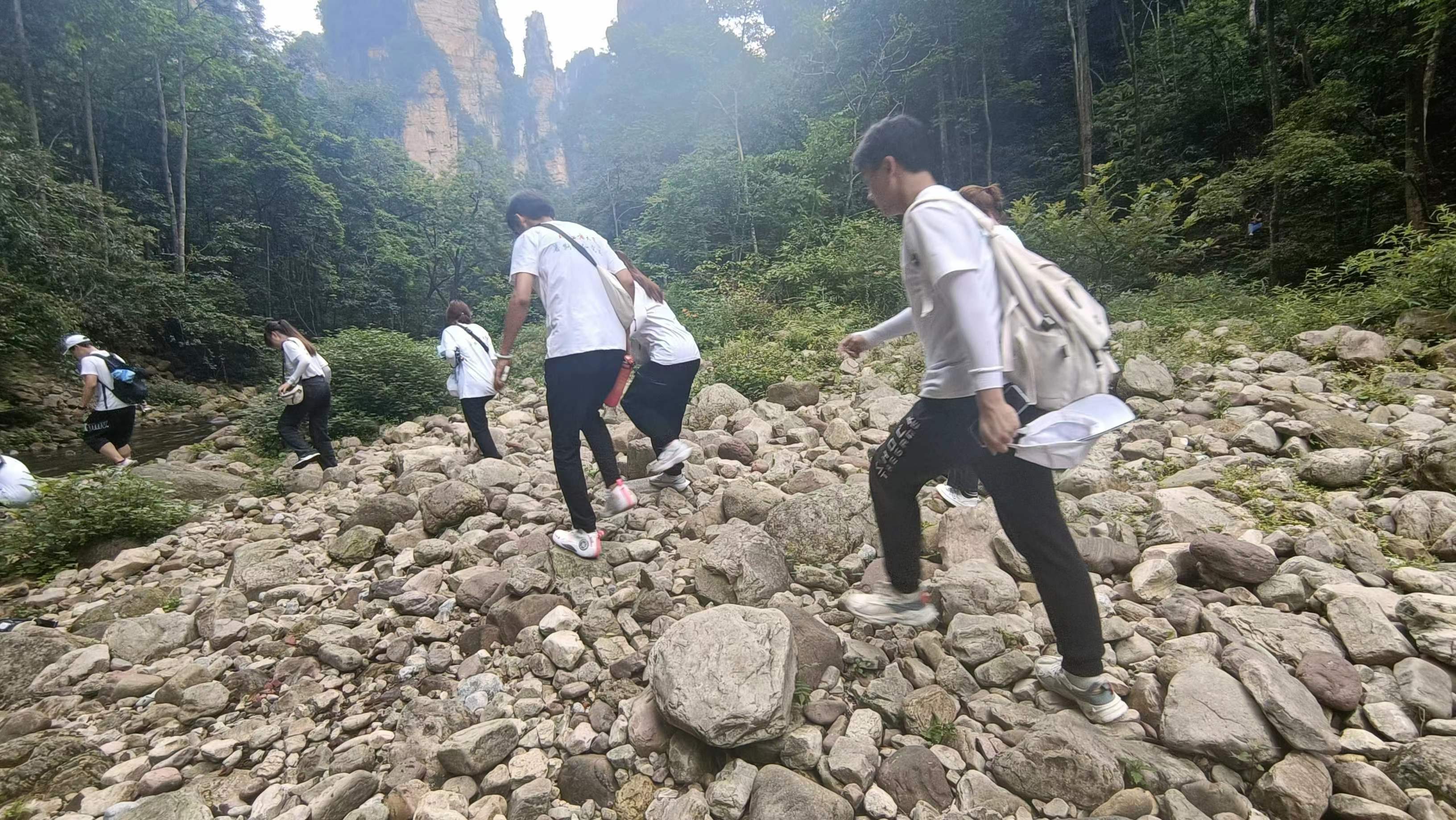 F6福鹿会_官方网站app下载