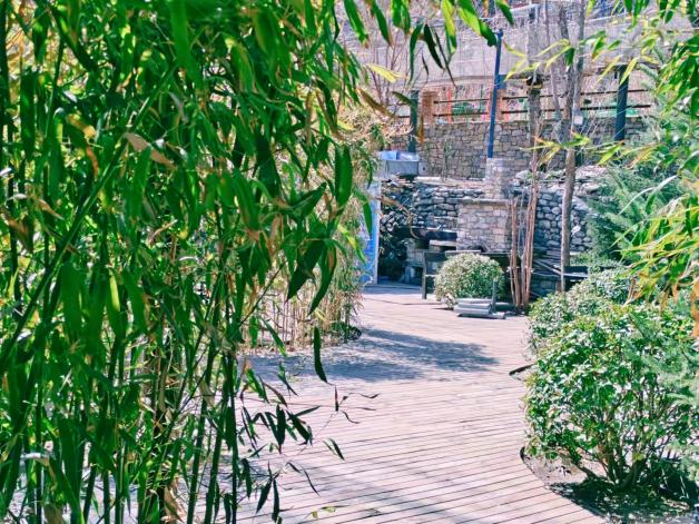 F6福鹿会_官方网站app下载