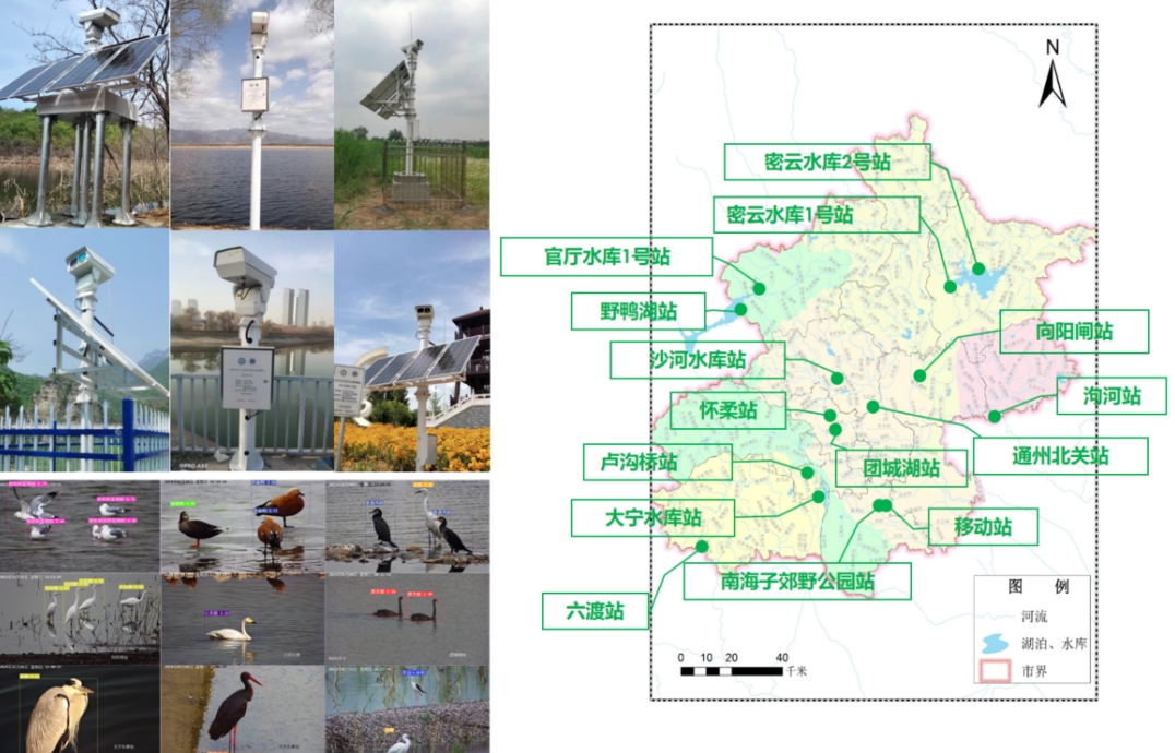 F6福鹿会_官方网站app下载