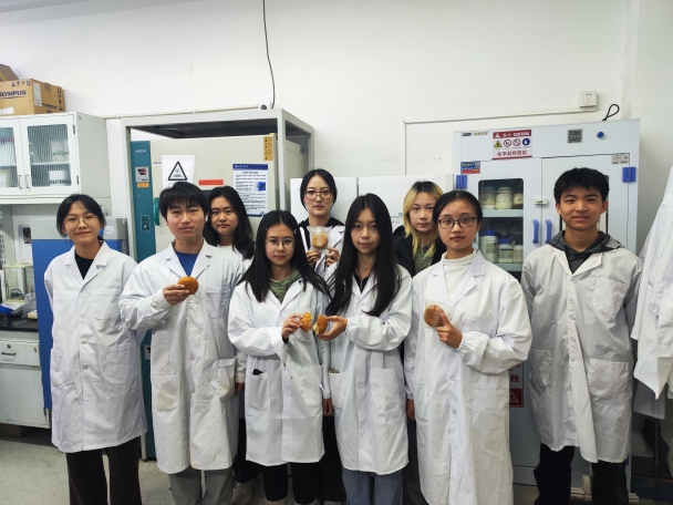 F6福鹿会_官方网站app下载