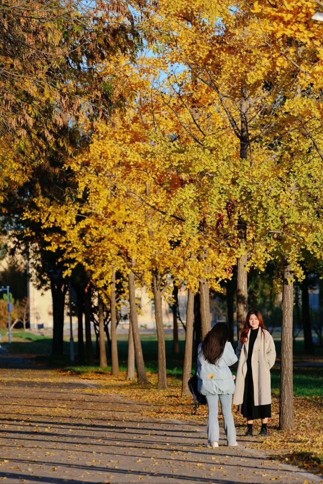 F6福鹿会_官方网站app下载