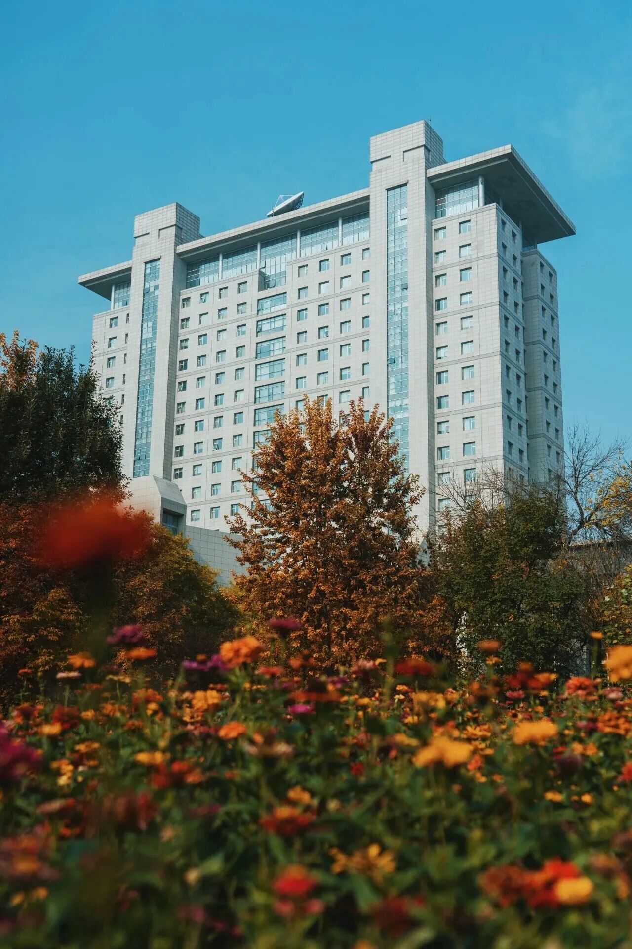 F6福鹿会_官方网站app下载