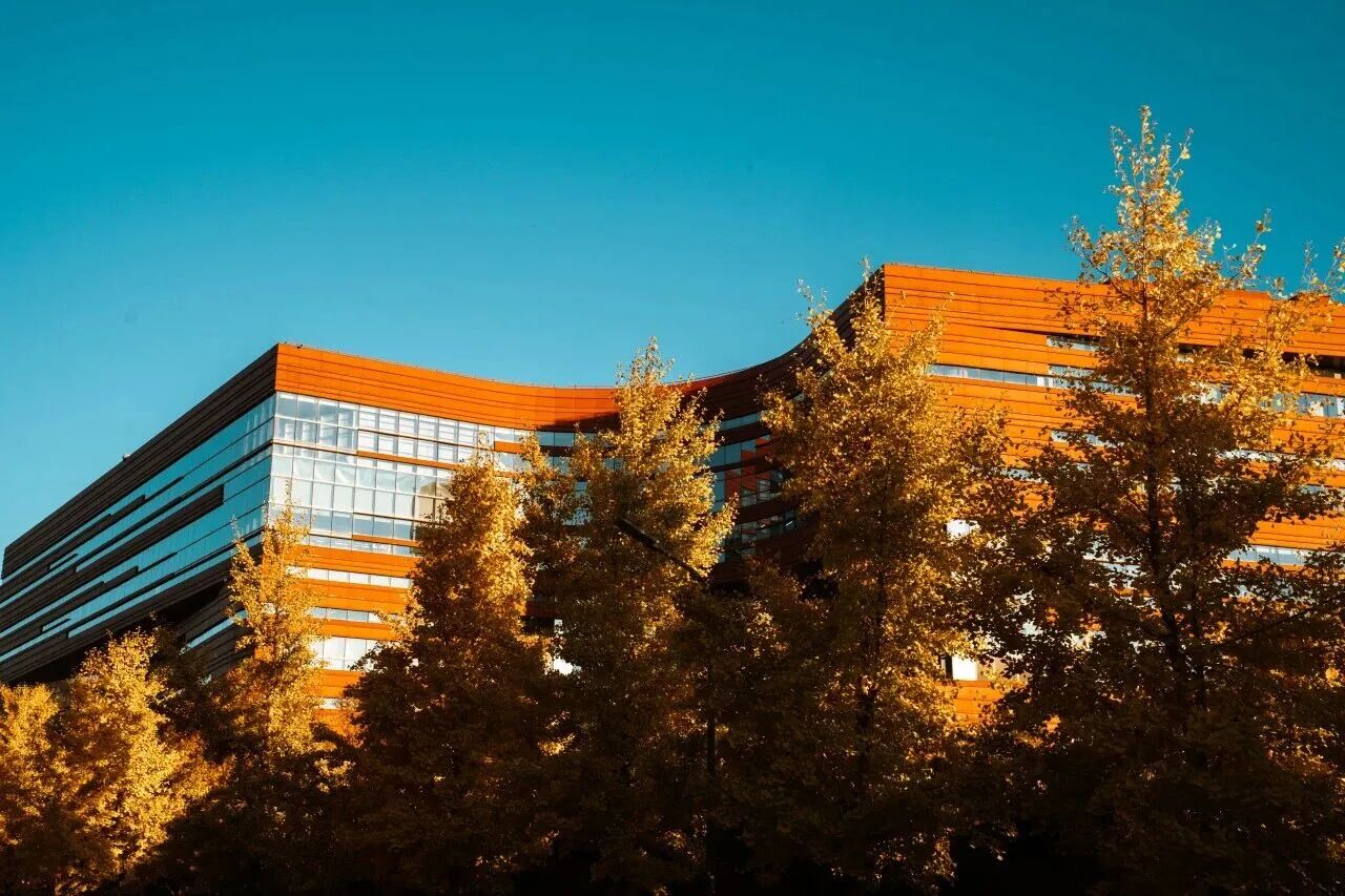 F6福鹿会_官方网站app下载