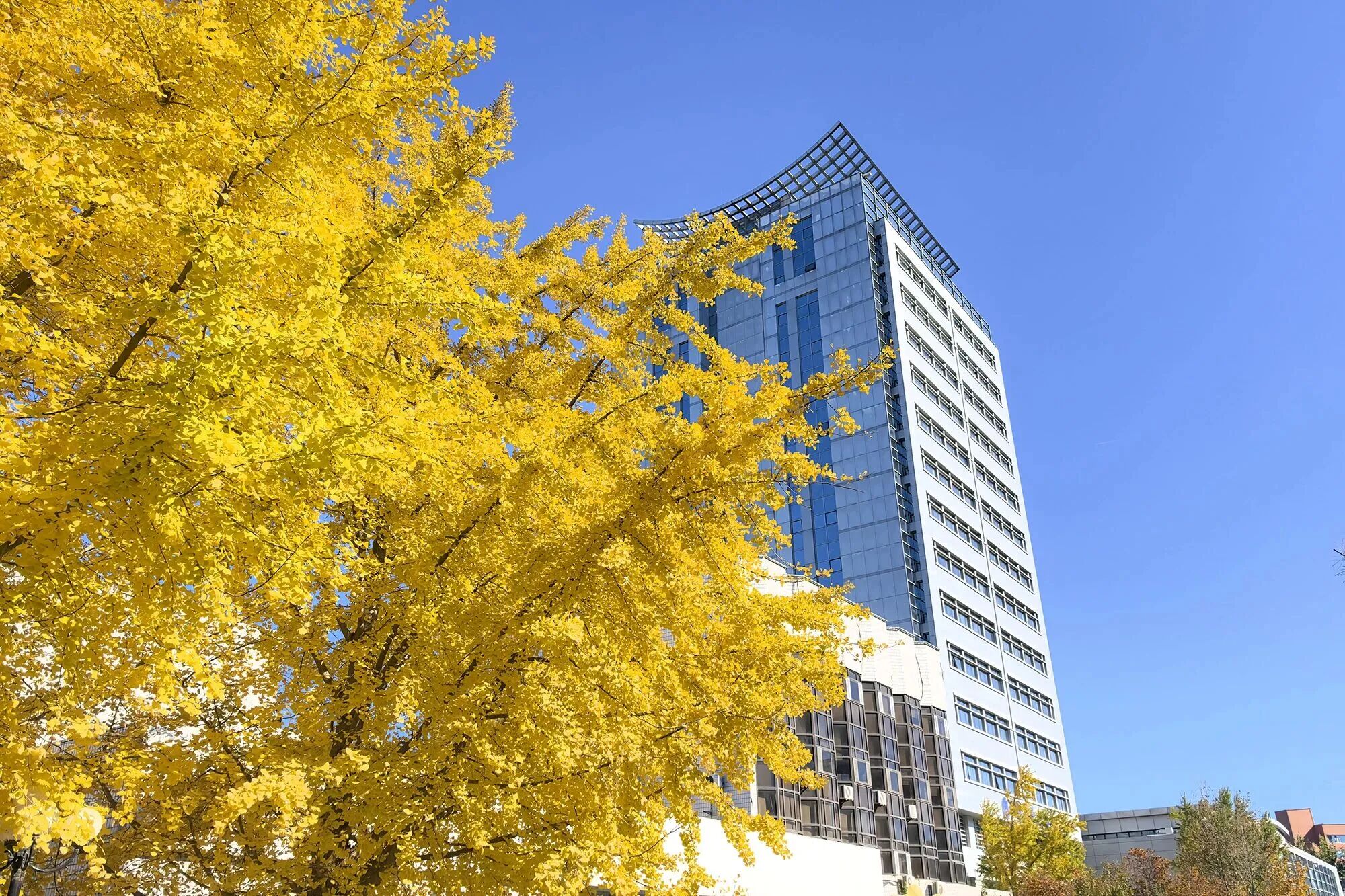 F6福鹿会_官方网站app下载