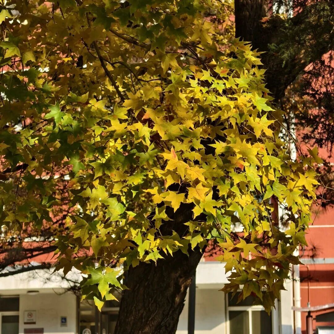 F6福鹿会_官方网站app下载