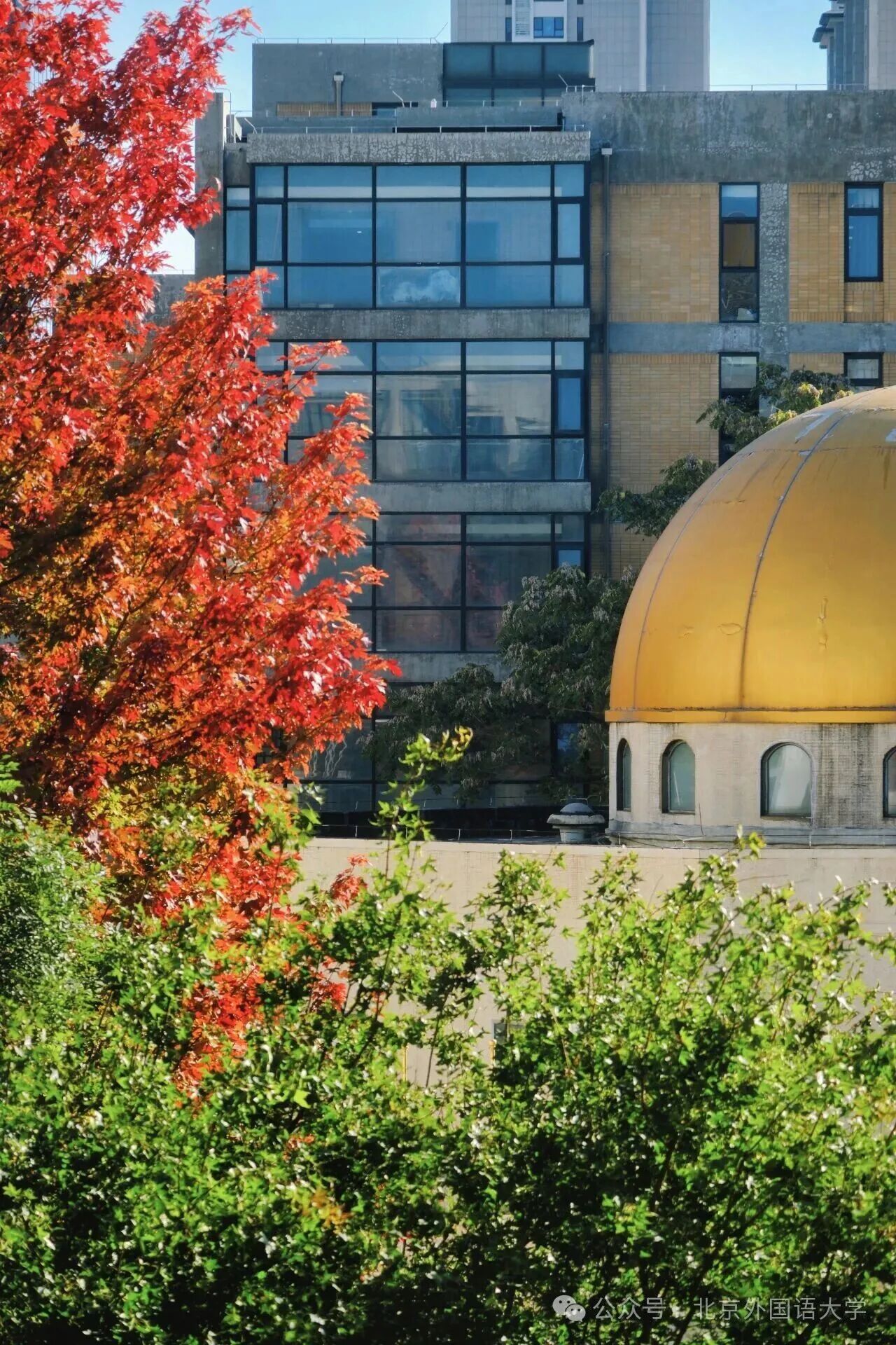 F6福鹿会_官方网站app下载