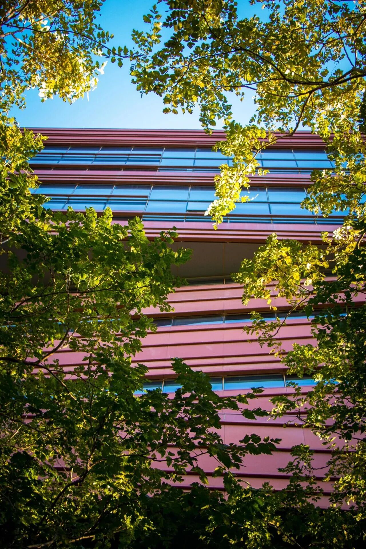 F6福鹿会_官方网站app下载