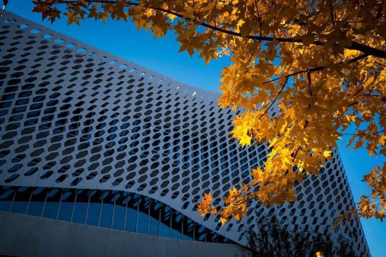 F6福鹿会_官方网站app下载