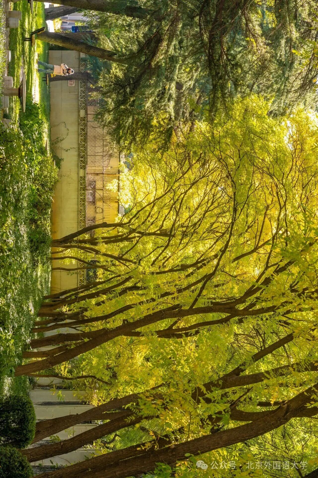 F6福鹿会_官方网站app下载