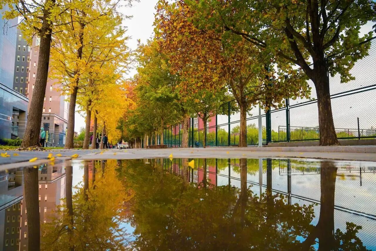 F6福鹿会_官方网站app下载