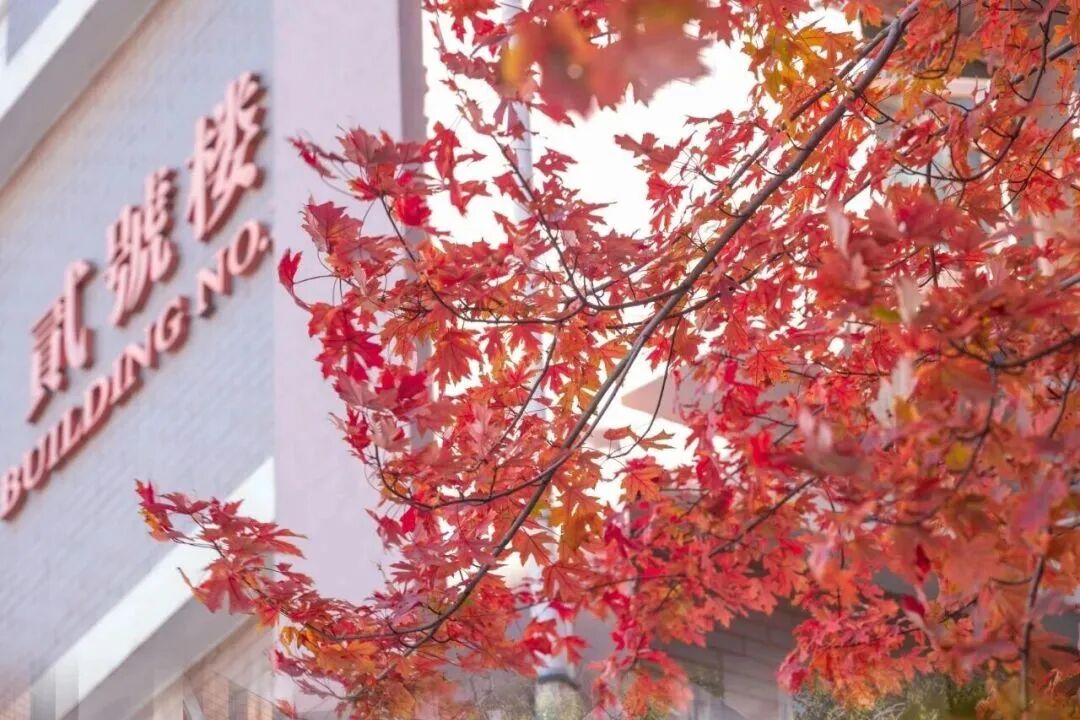 F6福鹿会_官方网站app下载