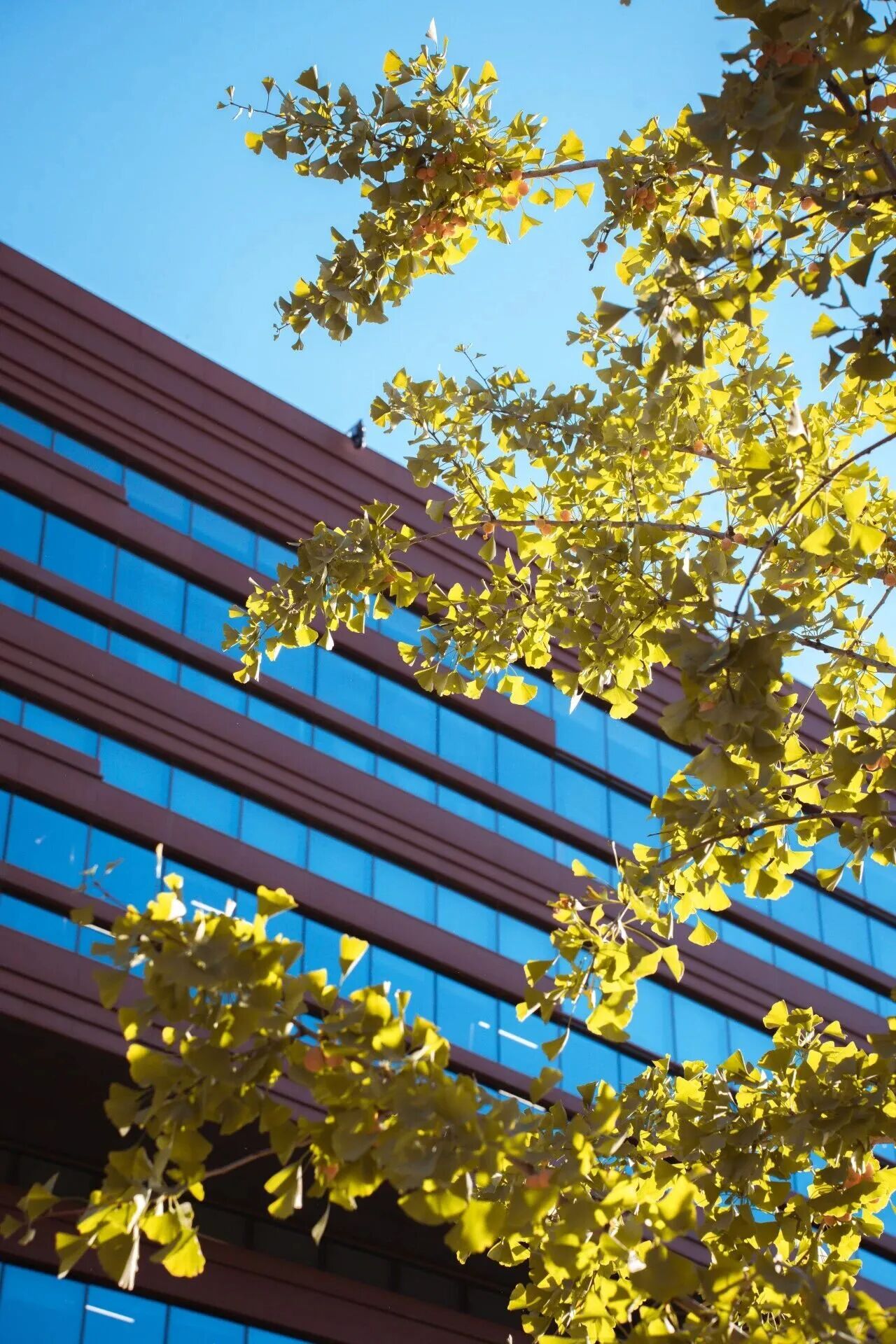 F6福鹿会_官方网站app下载