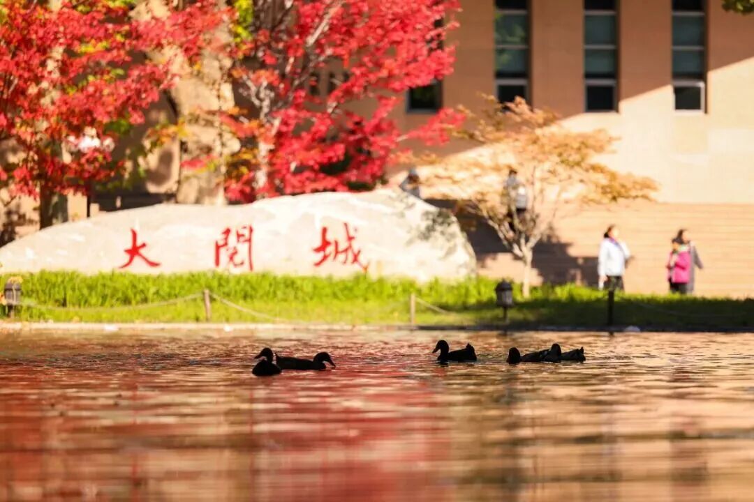 F6福鹿会_官方网站app下载