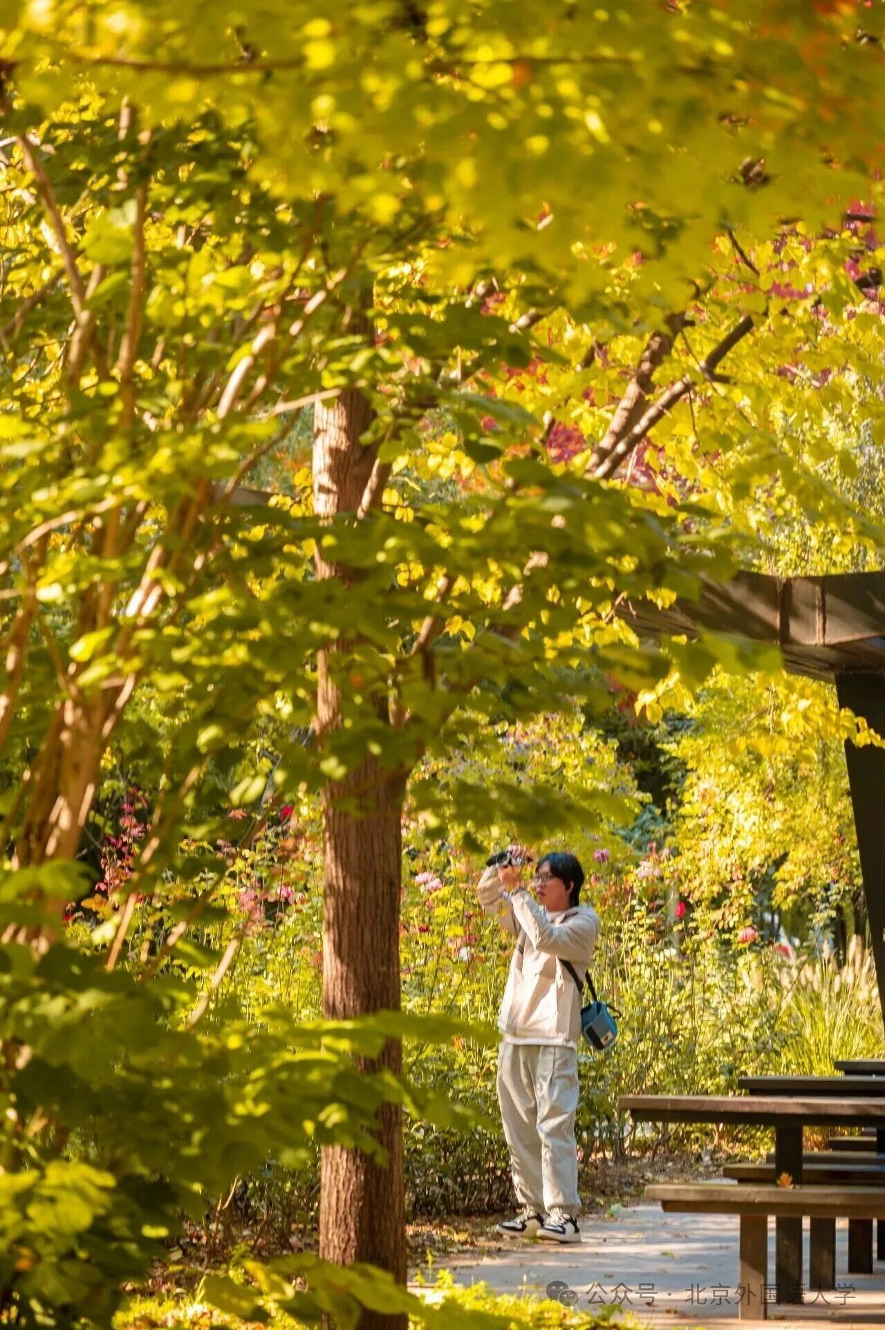 F6福鹿会_官方网站app下载