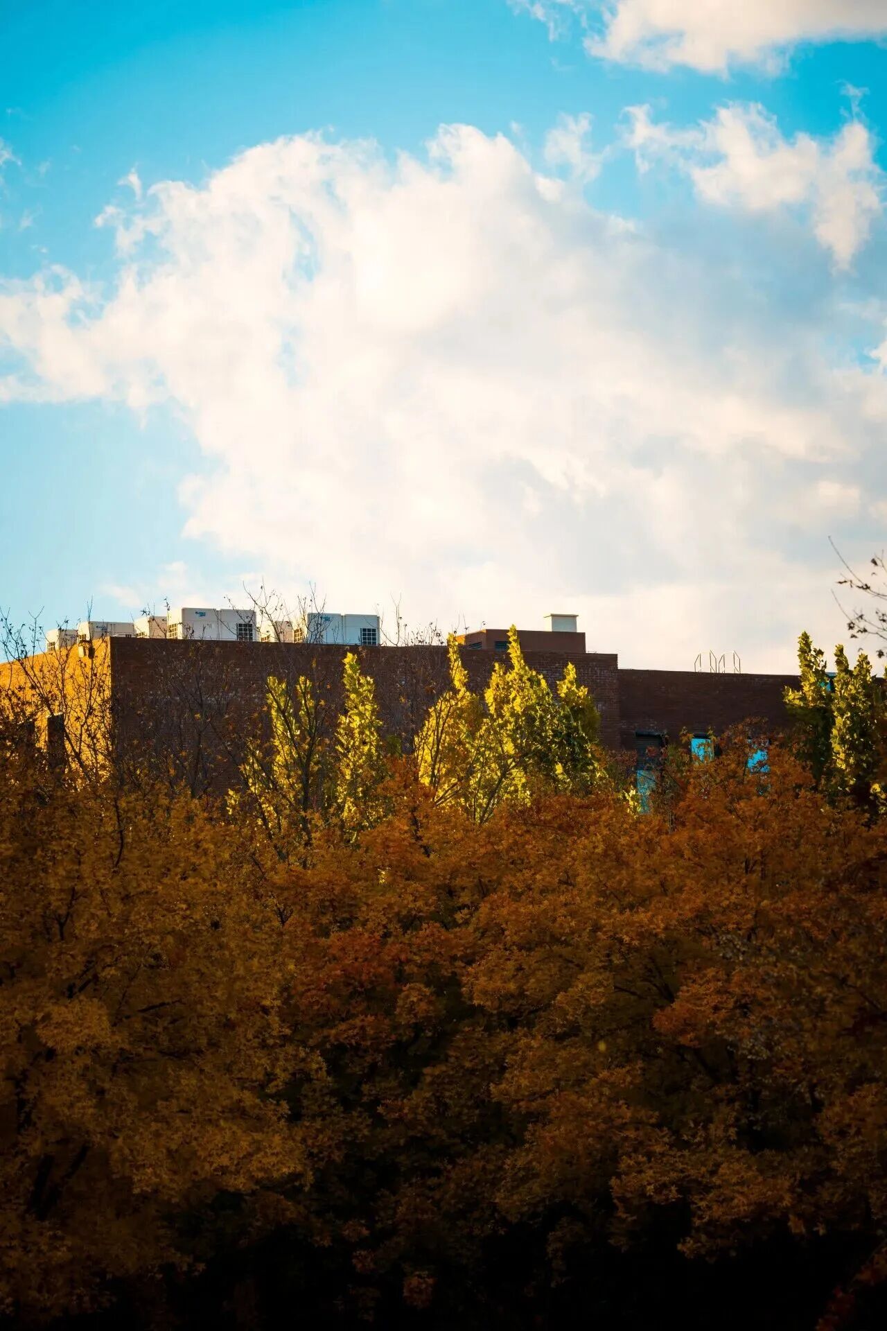 F6福鹿会_官方网站app下载