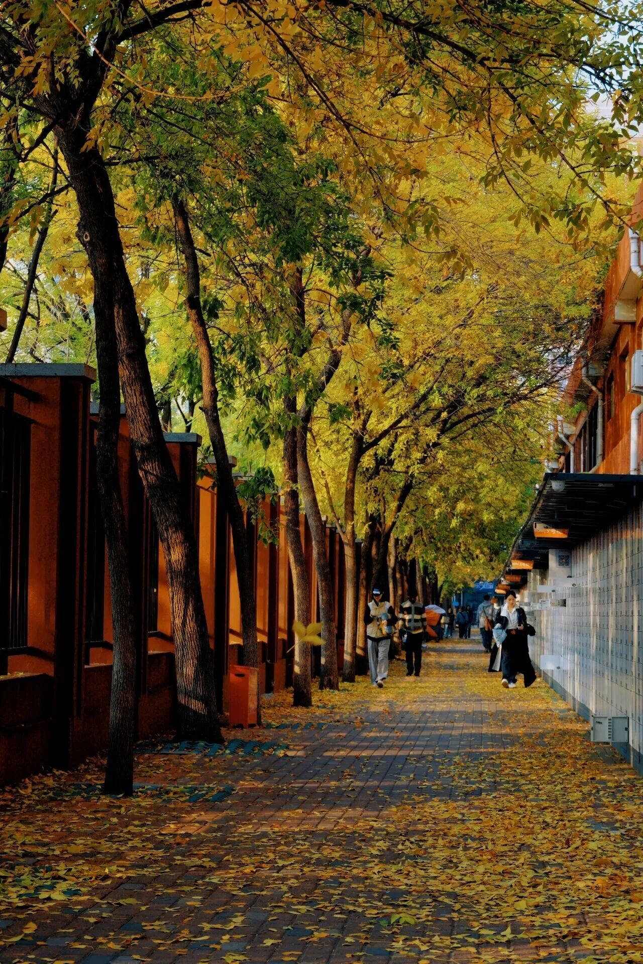 F6福鹿会_官方网站app下载