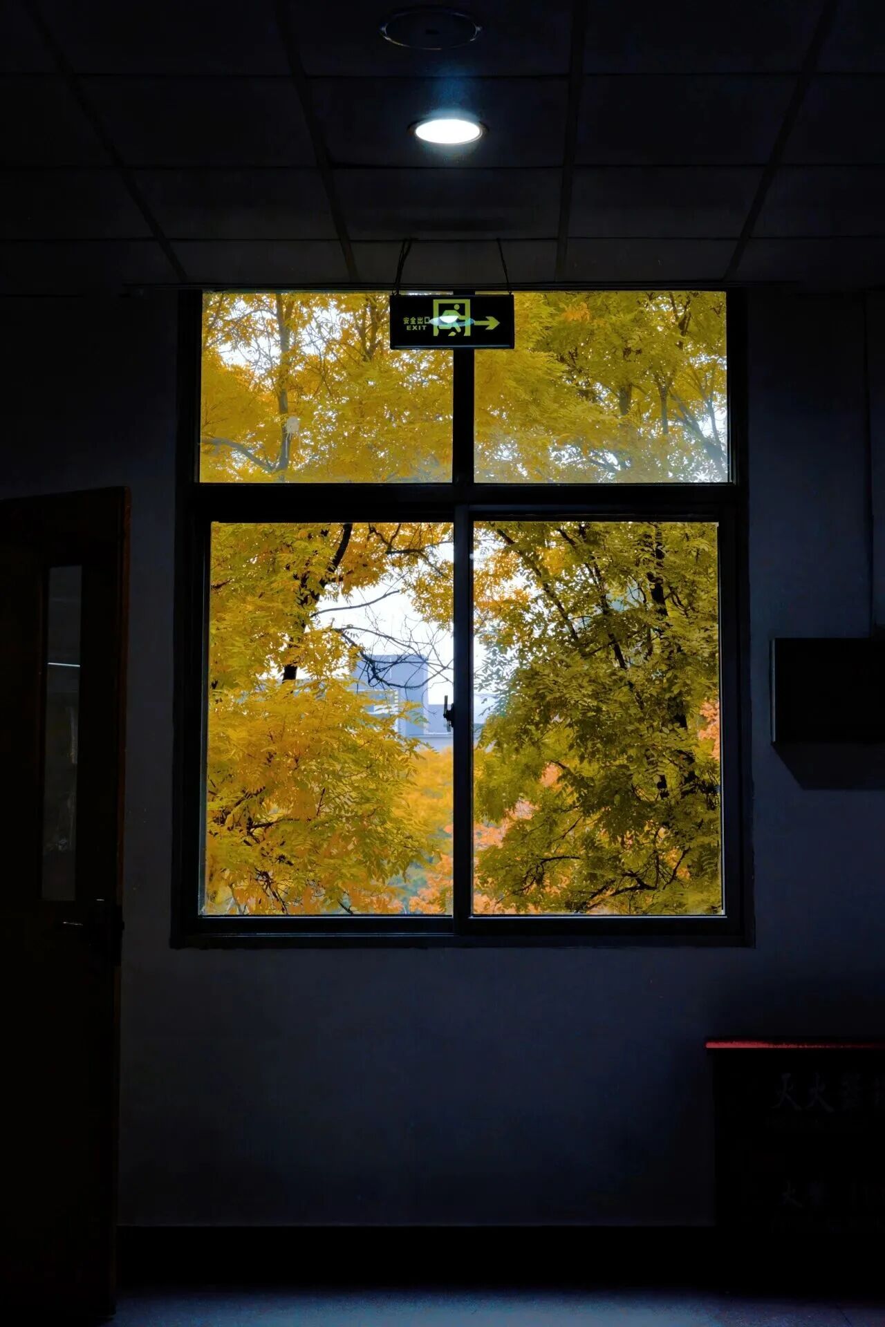 F6福鹿会_官方网站app下载