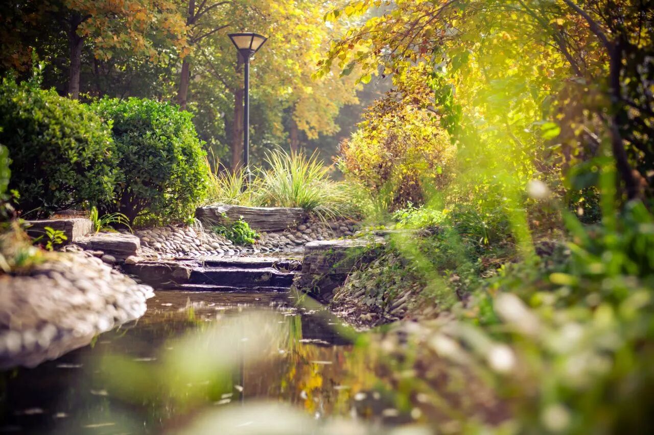 F6福鹿会_官方网站app下载