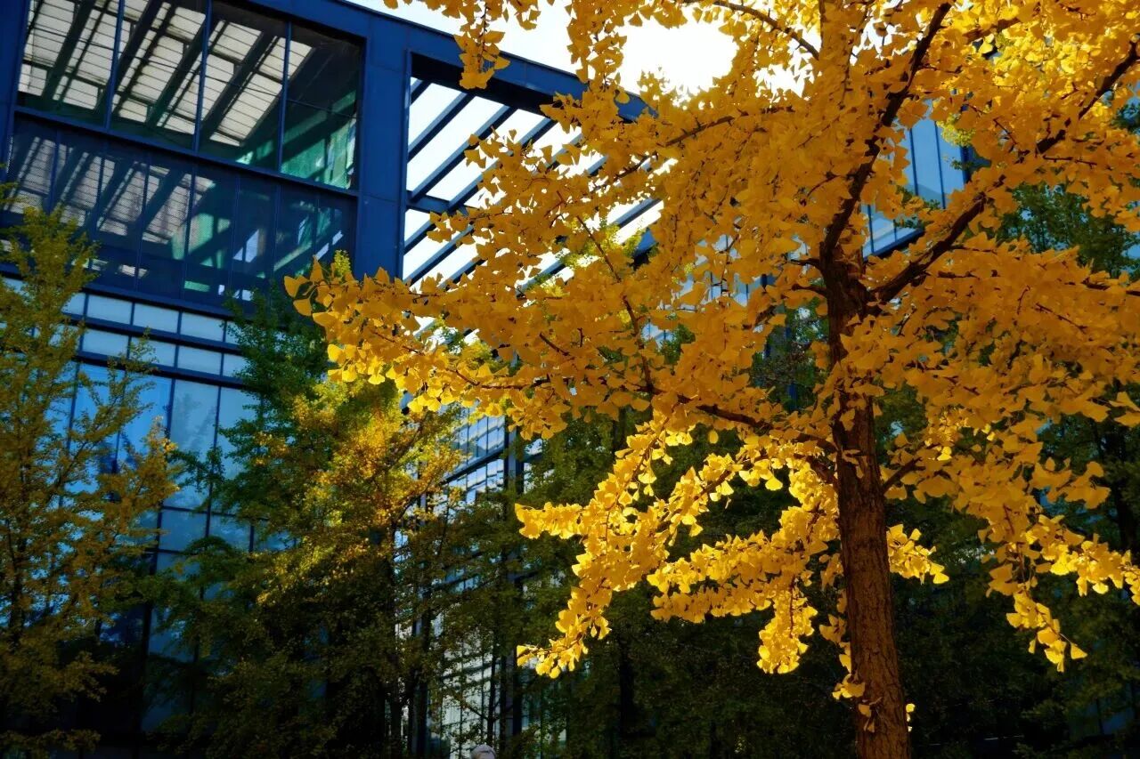 F6福鹿会_官方网站app下载