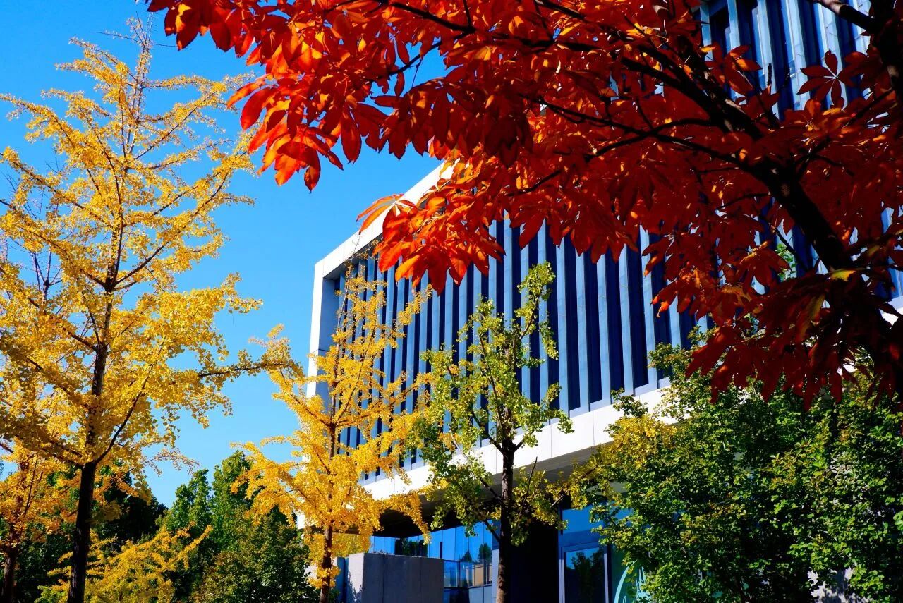 F6福鹿会_官方网站app下载