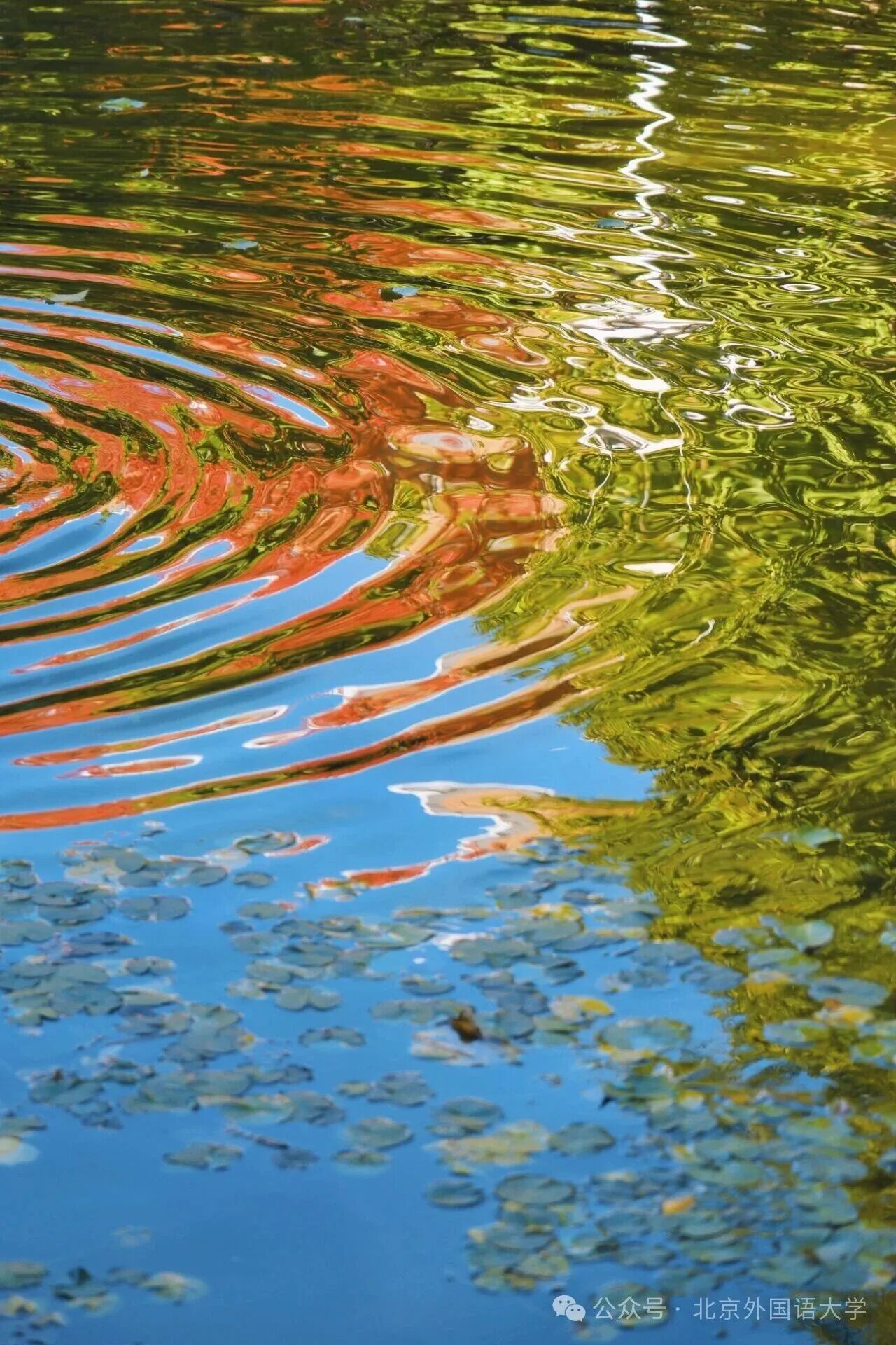 F6福鹿会_官方网站app下载