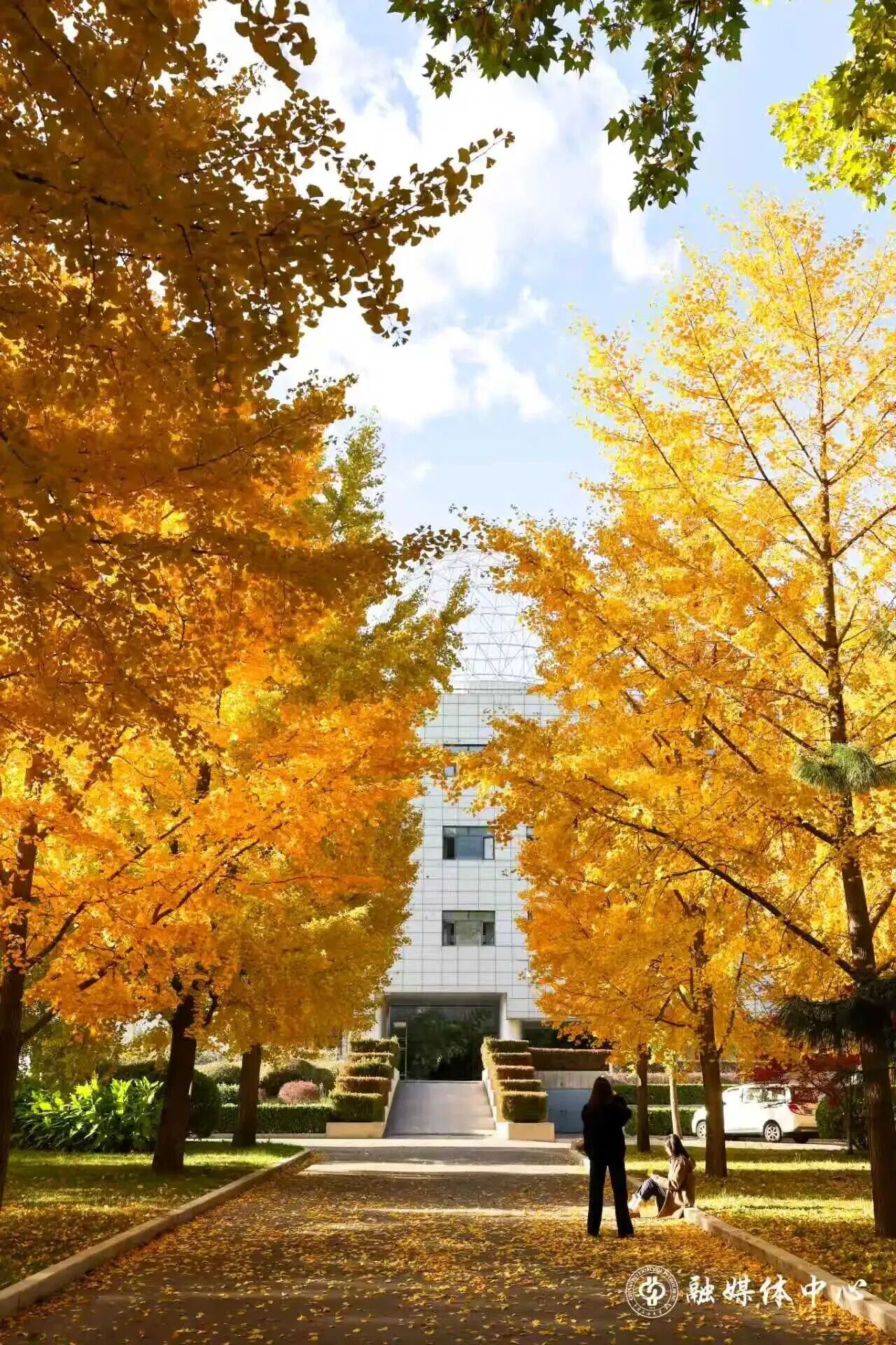 F6福鹿会_官方网站app下载