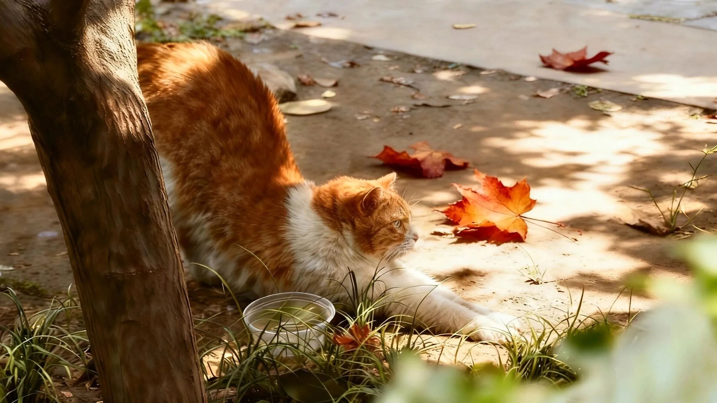 F6福鹿会_官方网站app下载