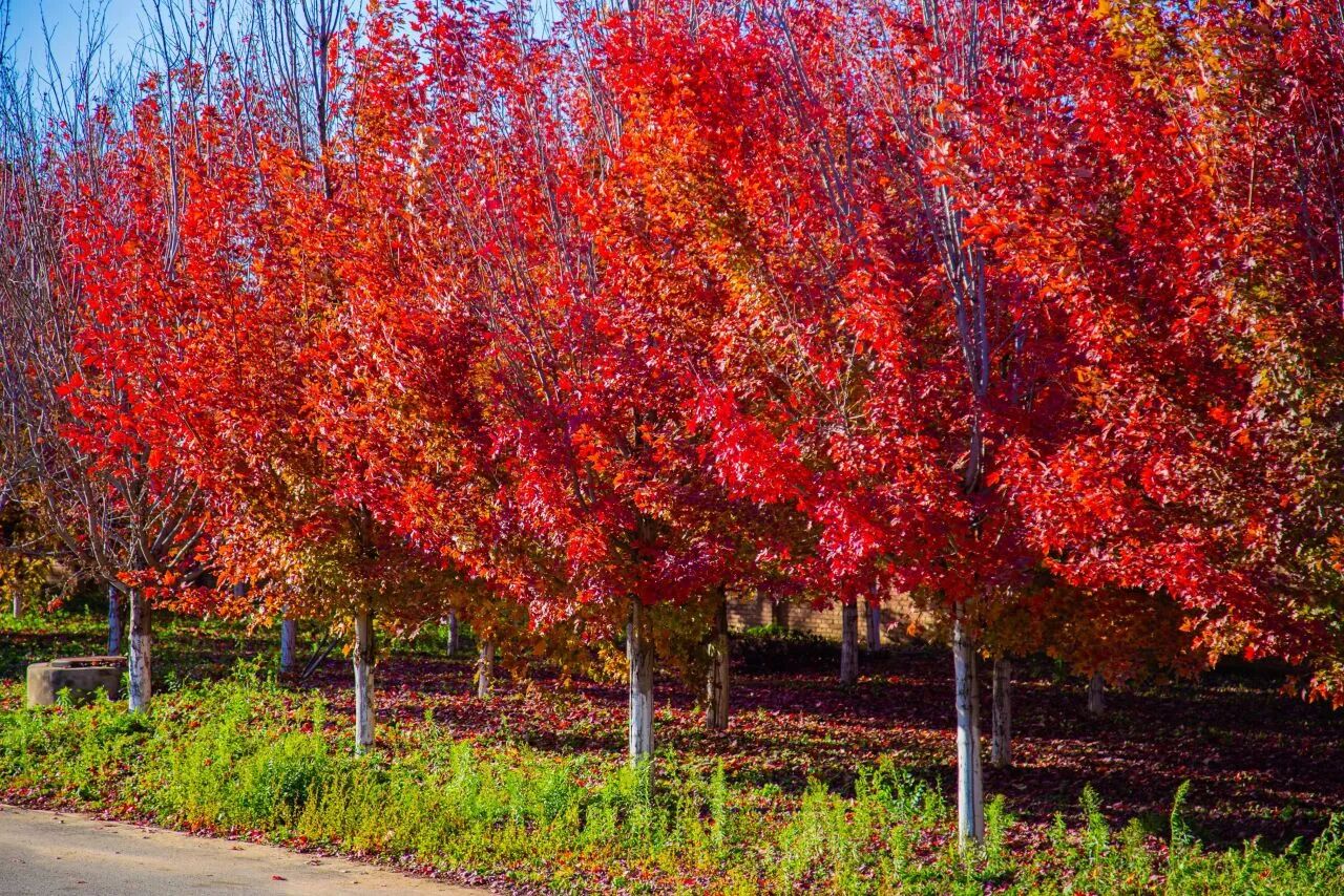 F6福鹿会_官方网站app下载