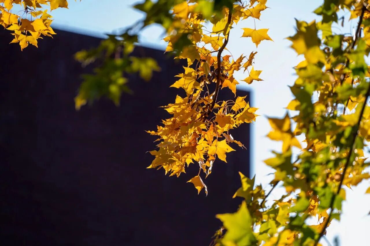 F6福鹿会_官方网站app下载