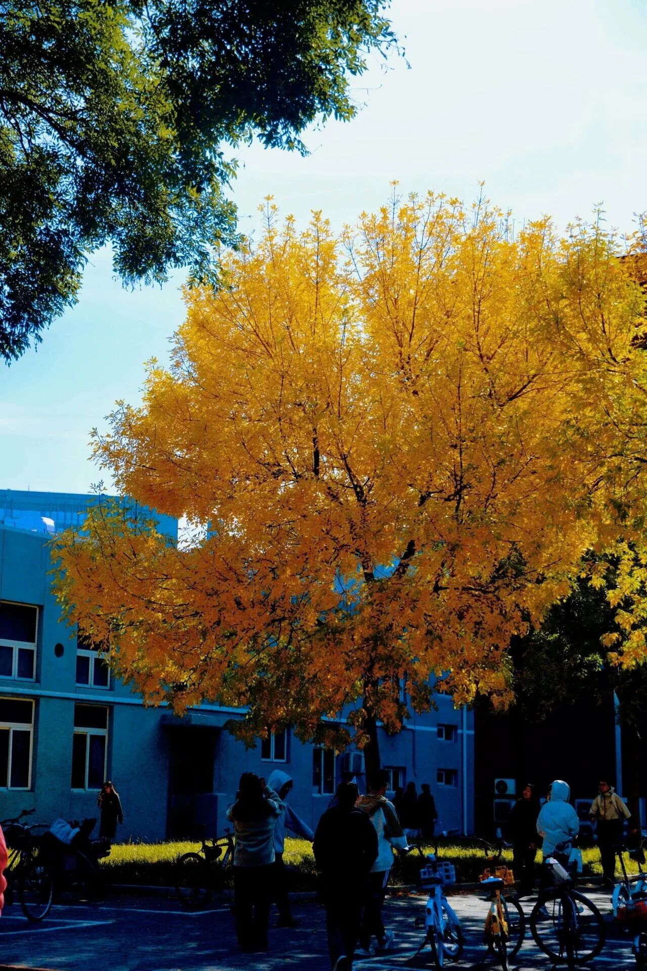 F6福鹿会_官方网站app下载