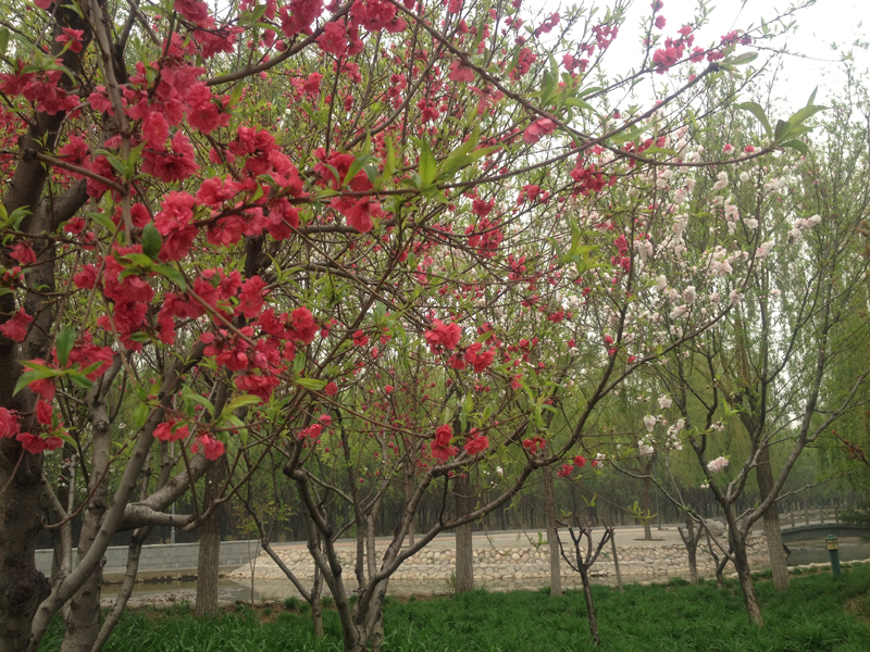 F6福鹿会_官方网站app下载