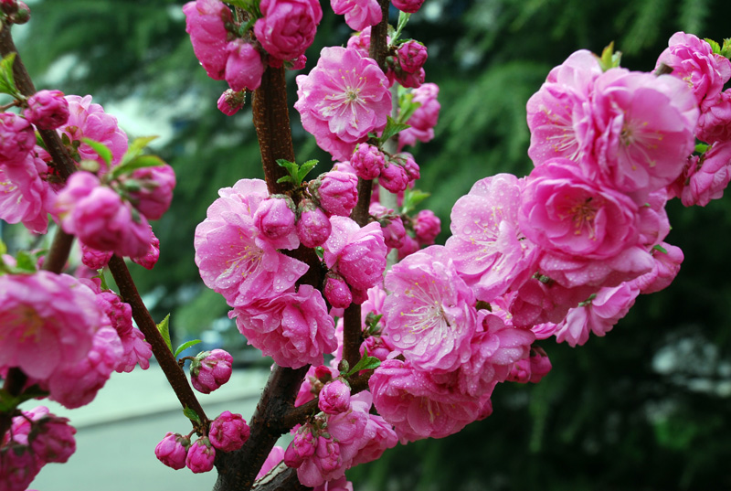 F6福鹿会_官方网站app下载