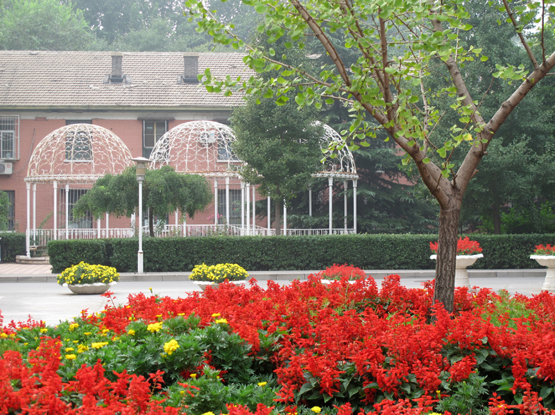 F6福鹿会_官方网站app下载