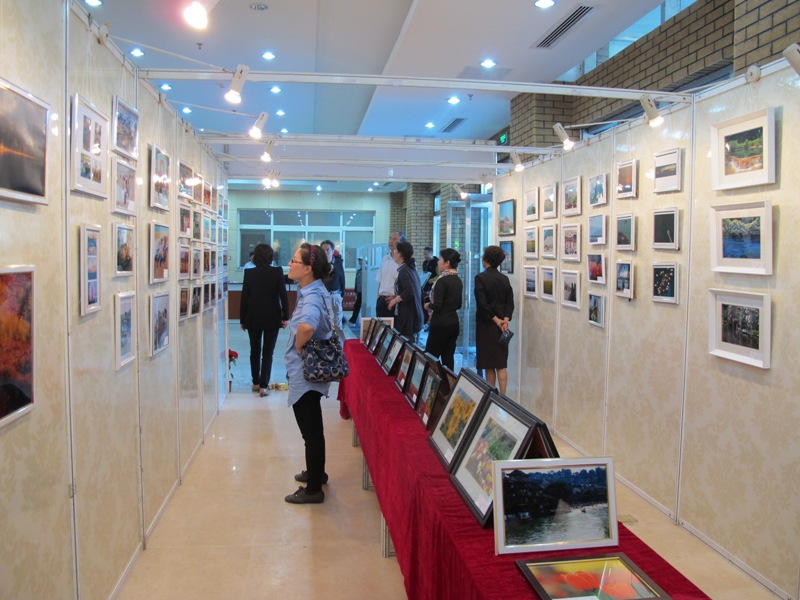 F6福鹿会_官方网站app下载