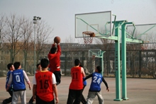 F6福鹿会_官方网站app下载