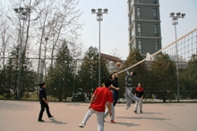 F6福鹿会_官方网站app下载