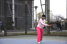 F6福鹿会_官方网站app下载