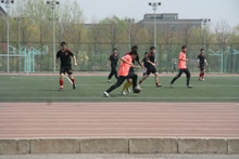 F6福鹿会_官方网站app下载