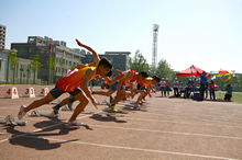 F6福鹿会_官方网站app下载