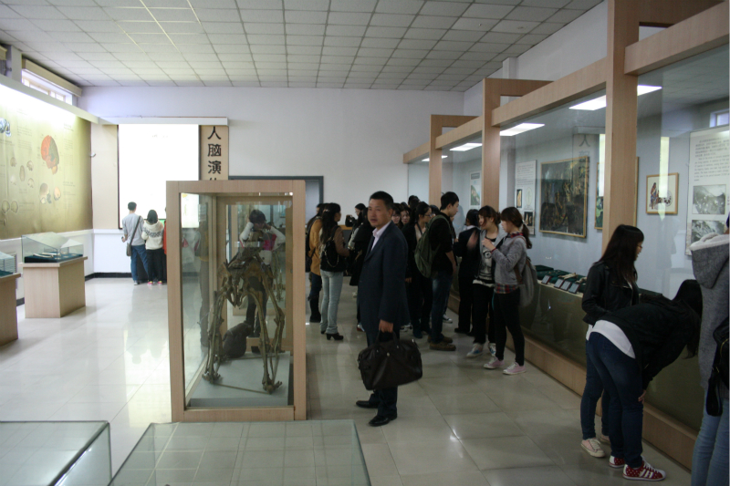 F6福鹿会_官方网站app下载