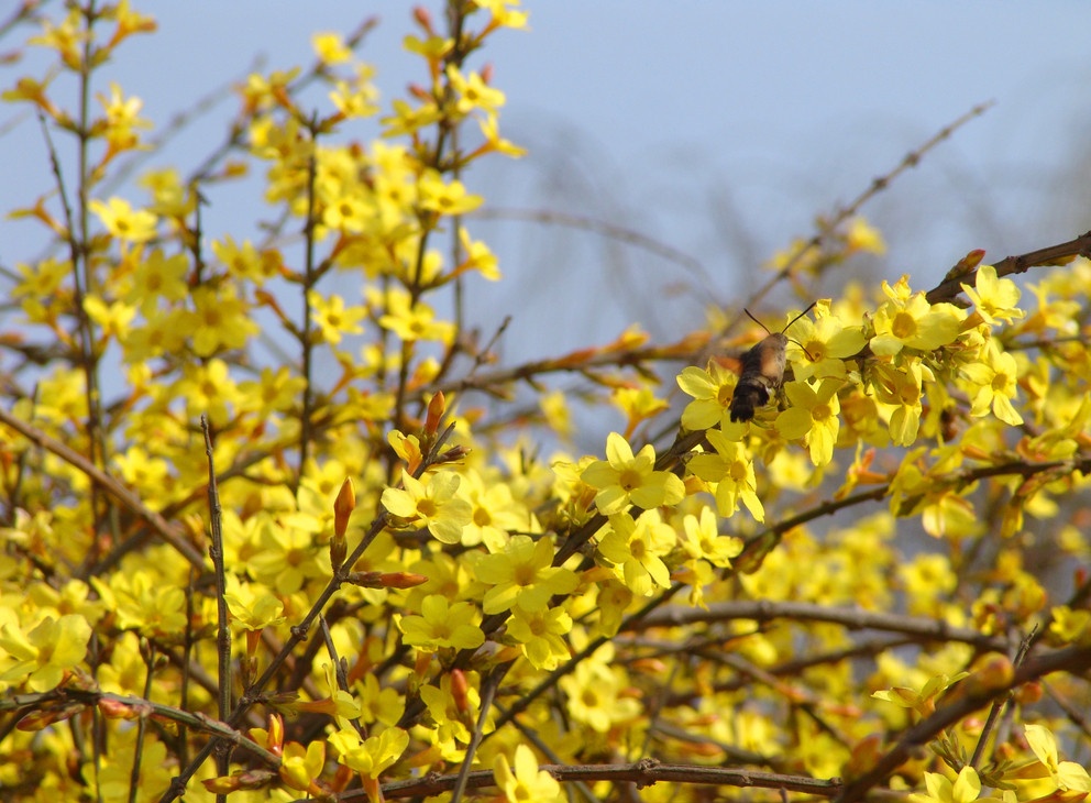 F6福鹿会_官方网站app下载