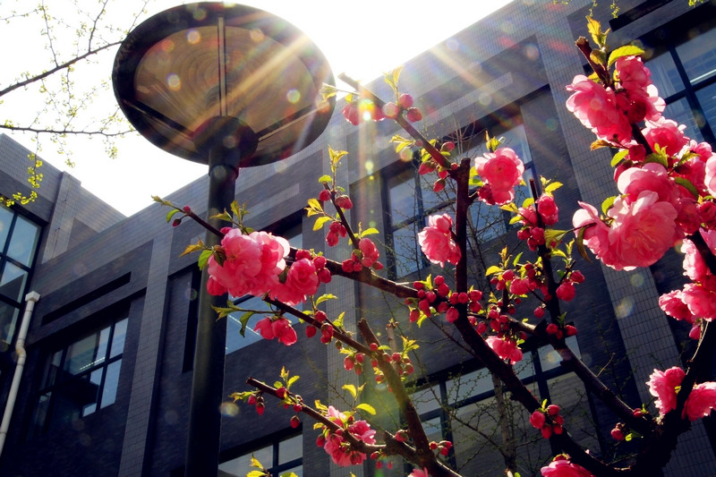 F6福鹿会_官方网站app下载